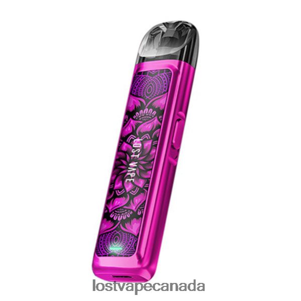 Lost Vape URSA Pod Kit | 800mAh 220P8B230 - Lost Vape Disposable Pink Survivor